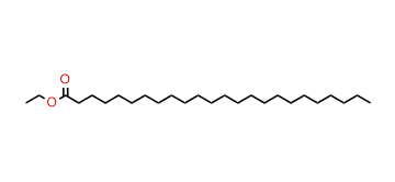 Ethyl tetracosanoate